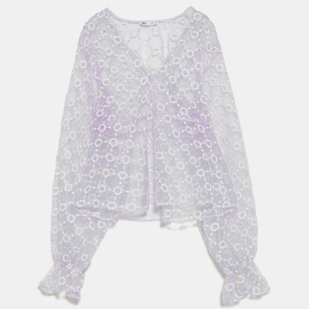 Zara Embroidered Organza Blouse M
